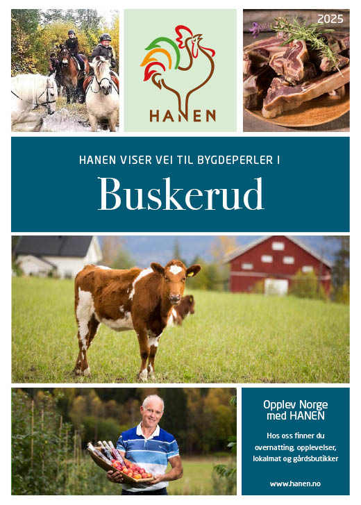 Veiviser_buskerud