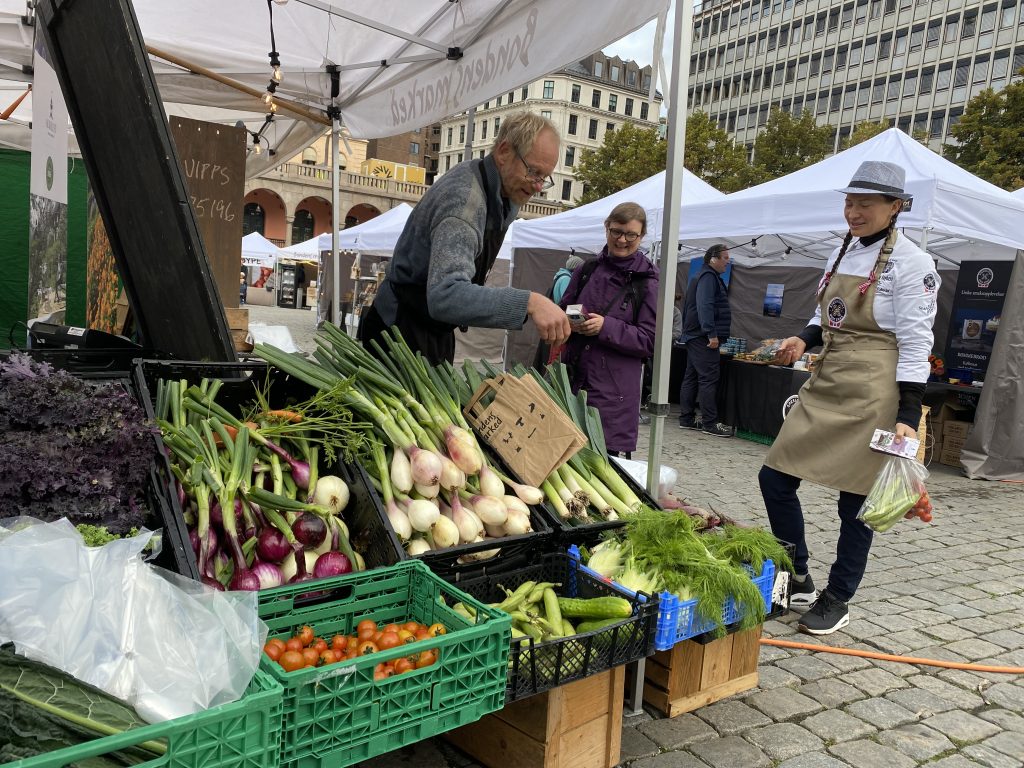 Mattorget