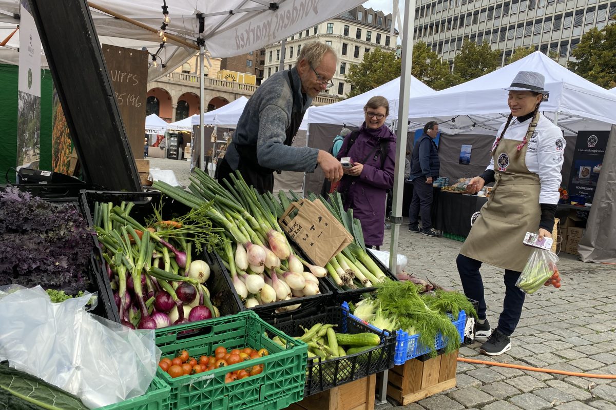 Mattorget
