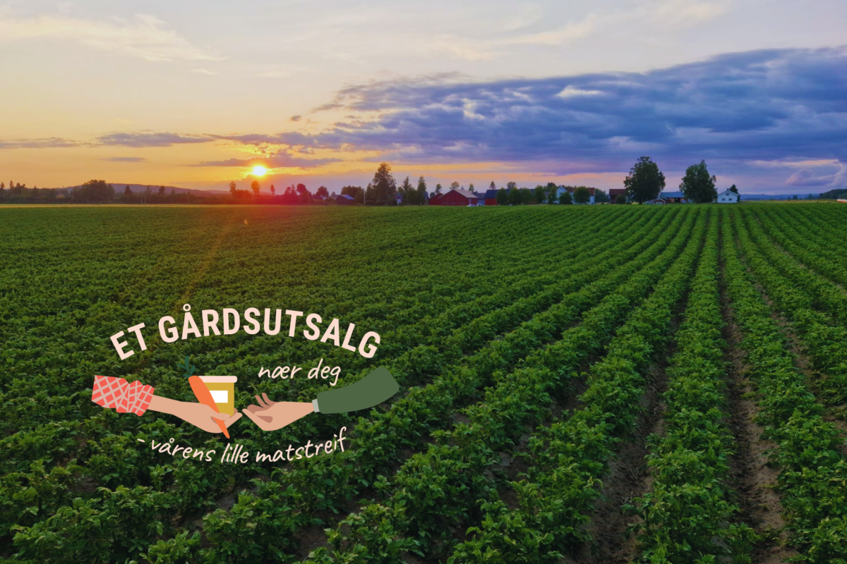 Et gårdsutsalg nær deg
