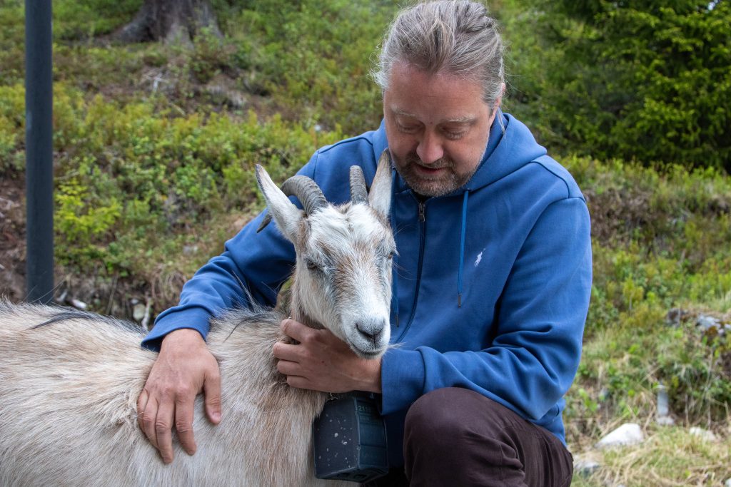 Einar Gurholt med geit ved Tuddal Høyfjellshotel