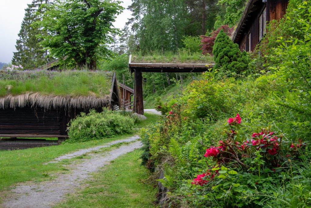 Historiske bygninger med torvtak og grønt landskap på Nutheim Gjestgiveri.