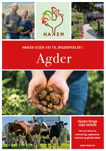 A5 regionfolder_Agder 26