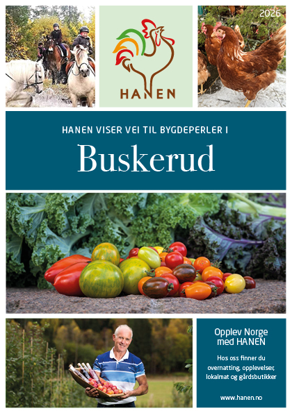 A5 regionfolder_Buskerud_2026
