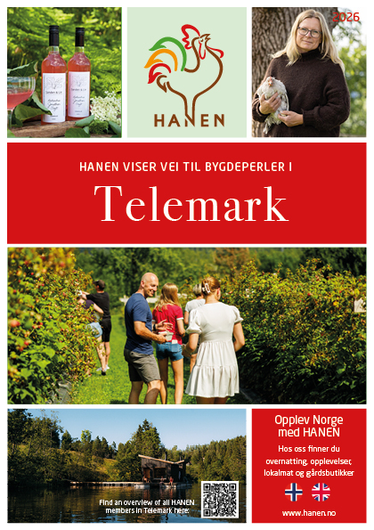 A5 regionfolder_Telemark_2026