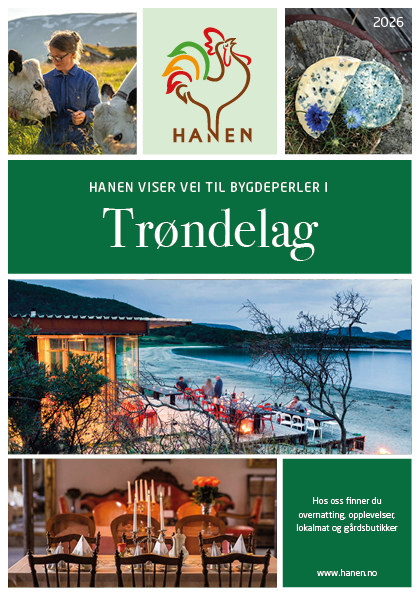 A5 regionfolder_Trøndelag_2026