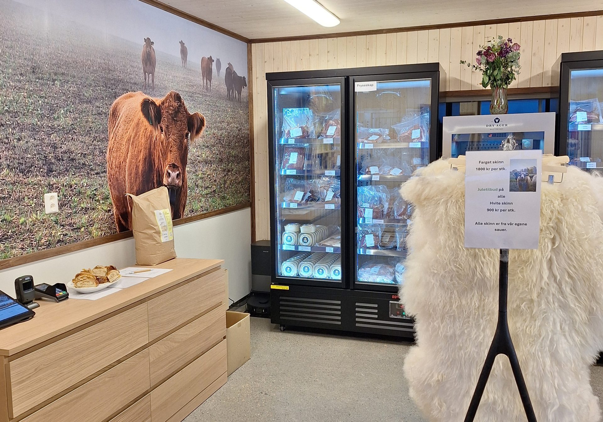 20251207_141508 - Manuela Volent