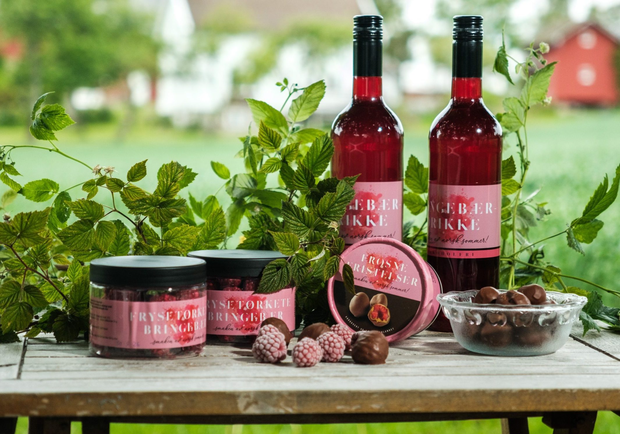 Roy Andersen and Åse-Marit Thorbjørnsrud own and operate Bringebærlandet. There they grow raspberries for fresh consumption and process berries that are not suitable for this. Their products include Frozen Temptations, Freeze-dried raspberries and Raspberry Drink in addition to raspberry wine in several forms.