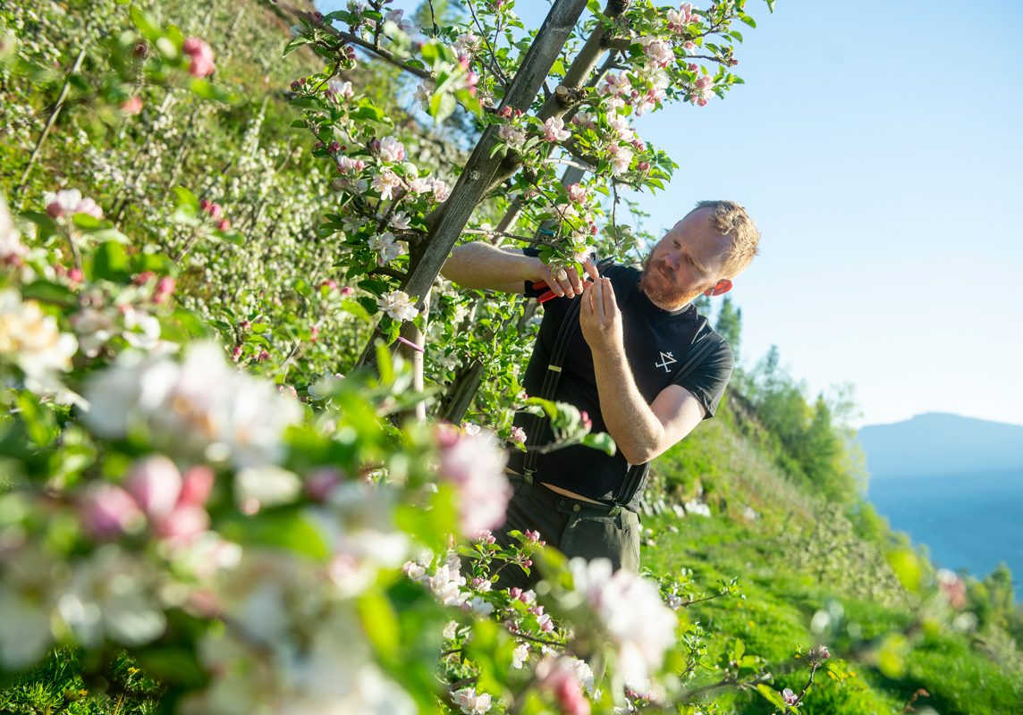 Fotokred-Vegard-Breie